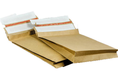 E-commerce bag paper 320x430+80mm